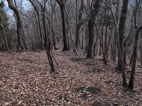 20161216hike (353)